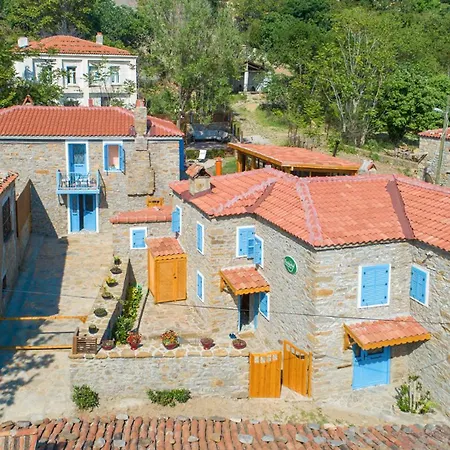 Feride Fonksiyonel Yasam