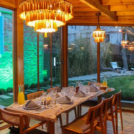 Feride Fonksiyonel Yasam